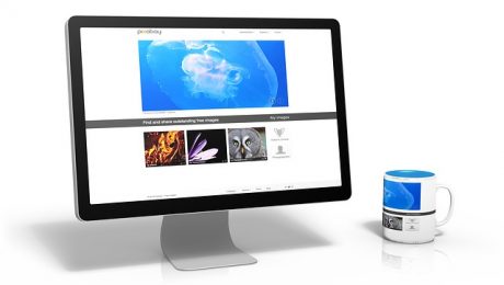 Perbedaan website statis dan website dinamis